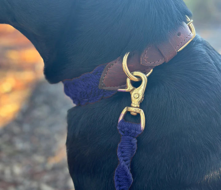 Baydog Navy Blue Seaside Leash