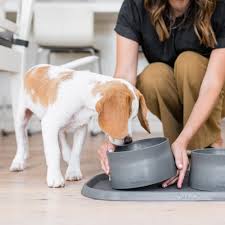 West Paw Non-Slip Dog Bowl