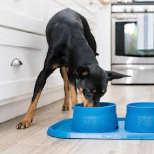 West Paw Non-Slip Dog Bowl