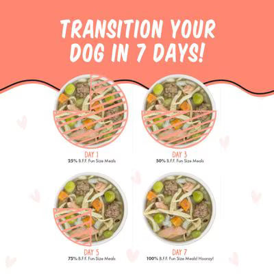 Weruva BFF We Be Jammin'