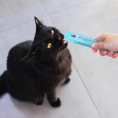 Weruva Cat Puddy Pops Lickable Treats Tuna & Salmon