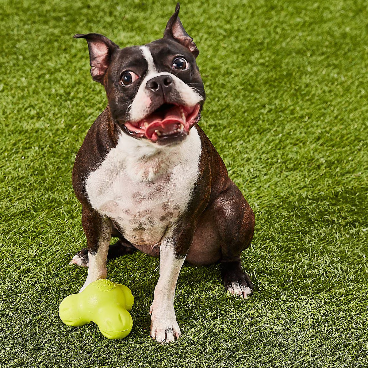 West Paw Tux Large 5 Inch for Dogs