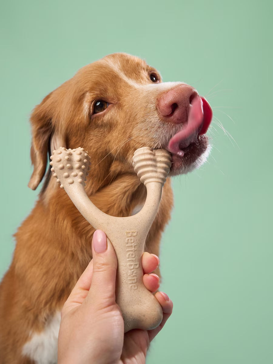 Betterbone Medium Dog Chew