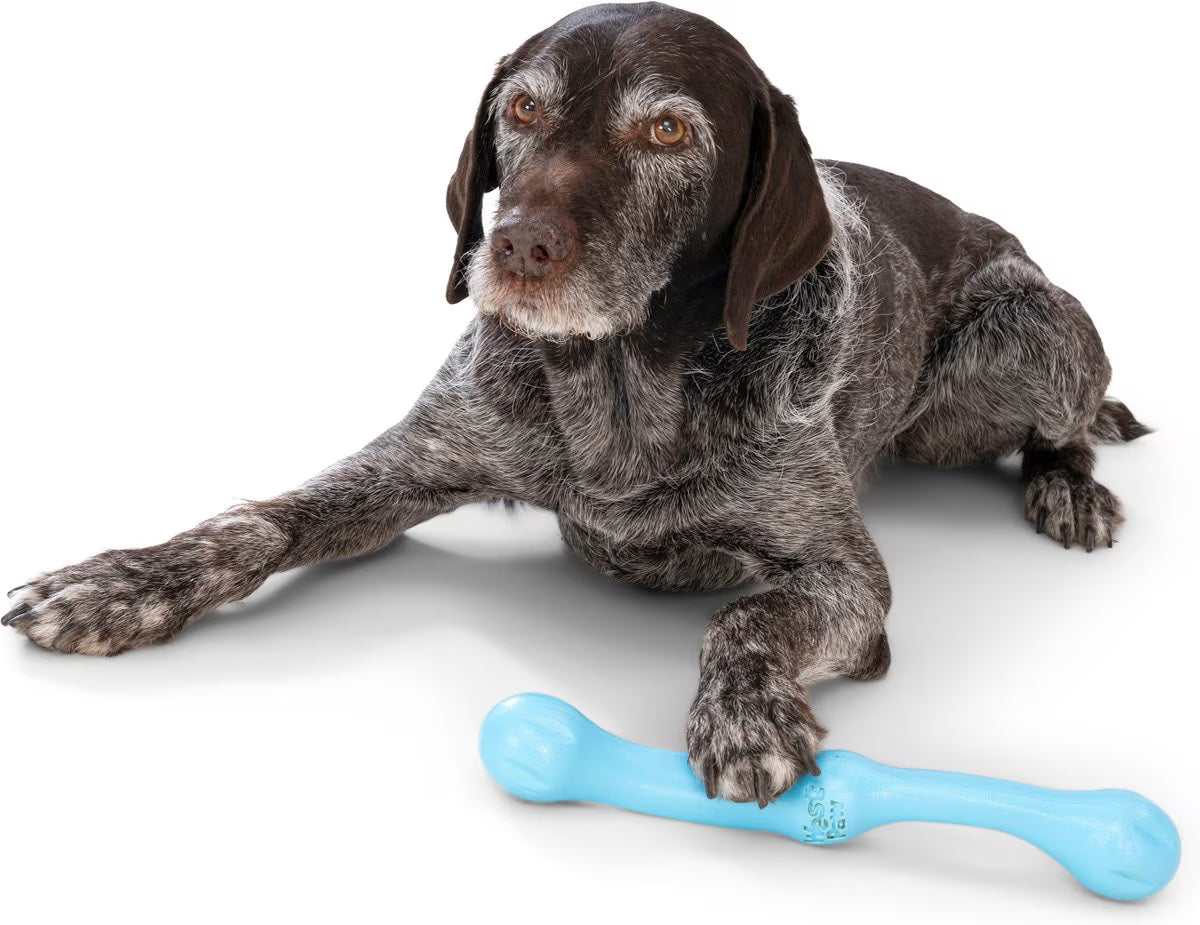 West Paw Zwig Large 13.75 Inch for Dogs