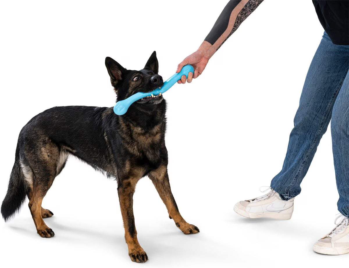 West Paw Zwig Large 13.75 Inch for Dogs