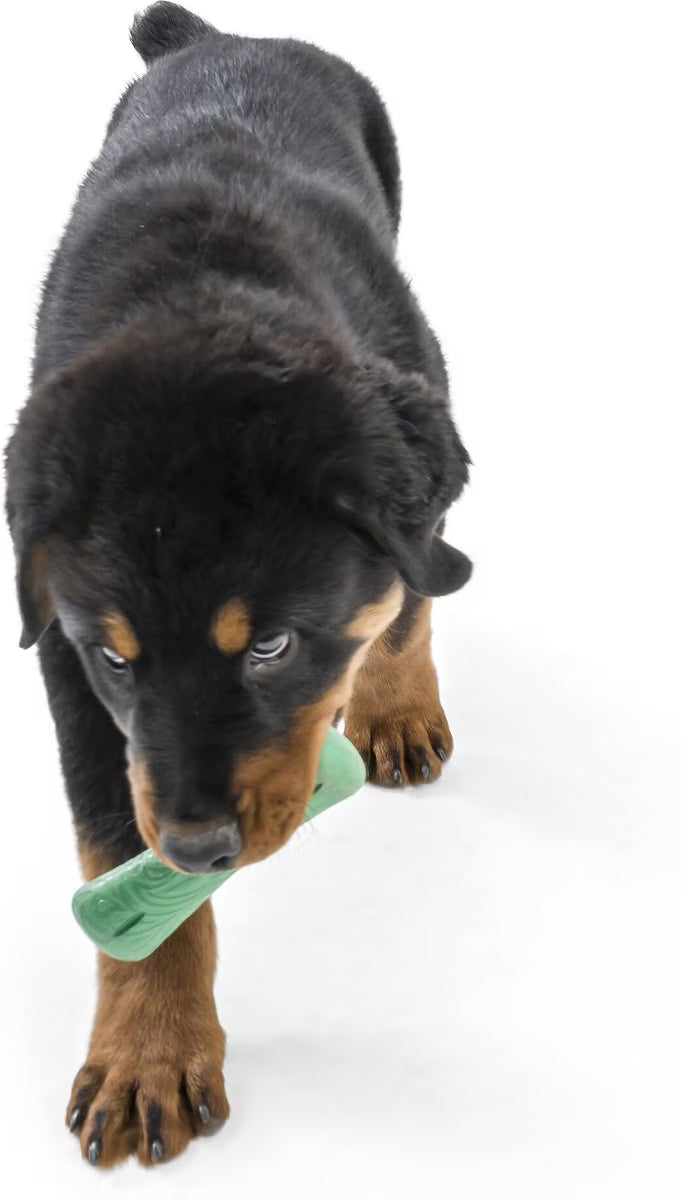 West Paw Drifty Small 5.75 Inch for Dogs