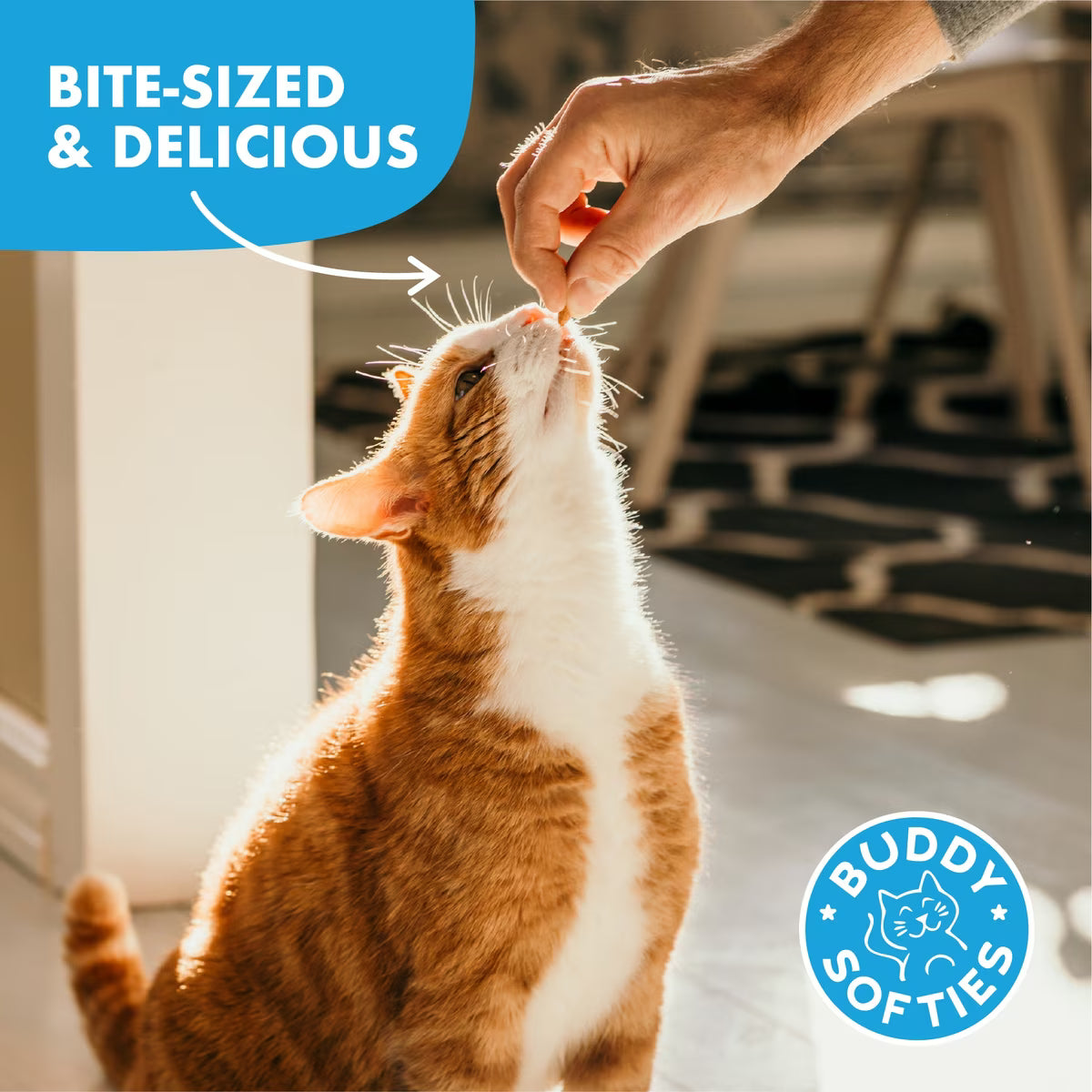 Buddy Biscuits Grain Free Cat Treats with Tender Chicken