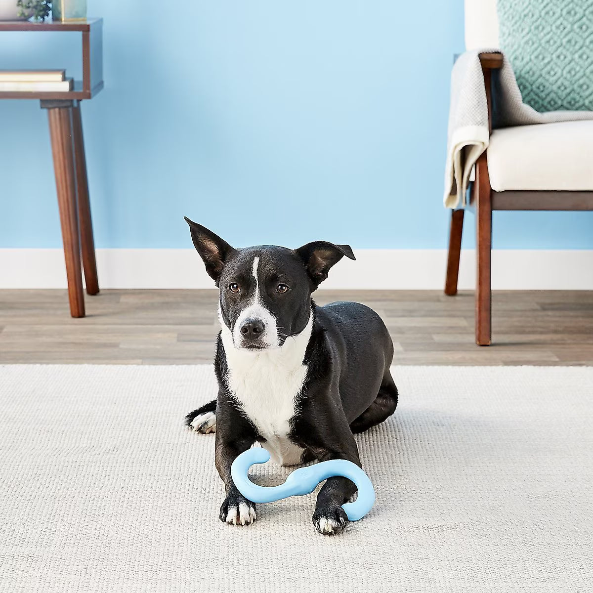 West Paw Bumi Small 8 Inch for Dogs