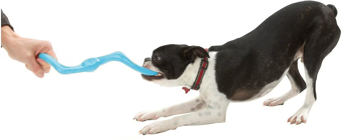 West Paw Bumi Small 8 Inch for Dogs