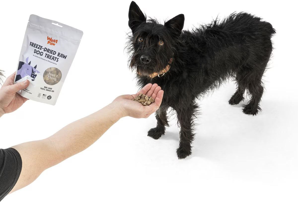 West Paw Beef Liver Single Ingredient Dog Treats