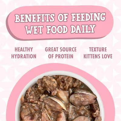 Weruva Cats in the Kitchen Grain Free Kitten Gone Wild Salmon Recipe