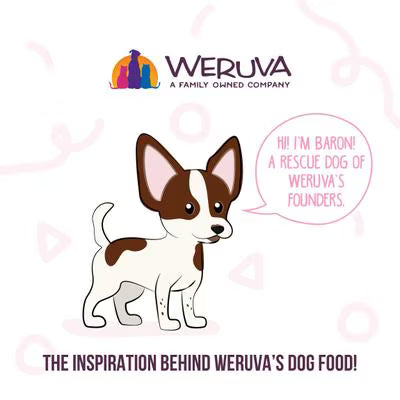 Weruva Meals 'n More Belly Belly Nice Variety Pack For Dogs