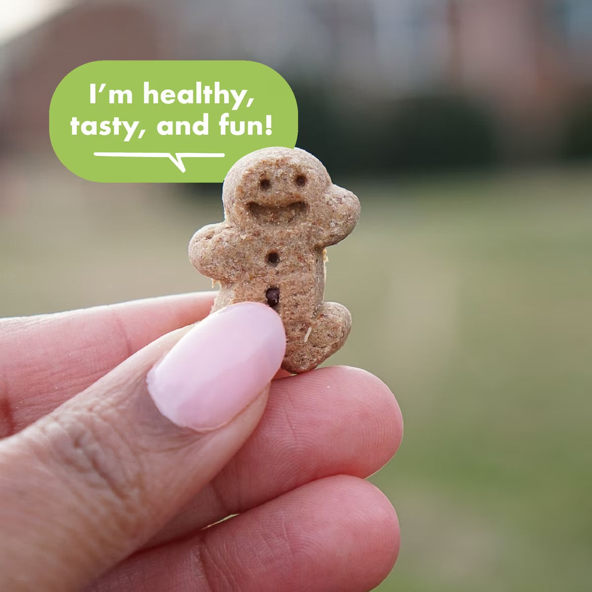 Buddy Biscuits Chewy Treats with Roasted Chicken