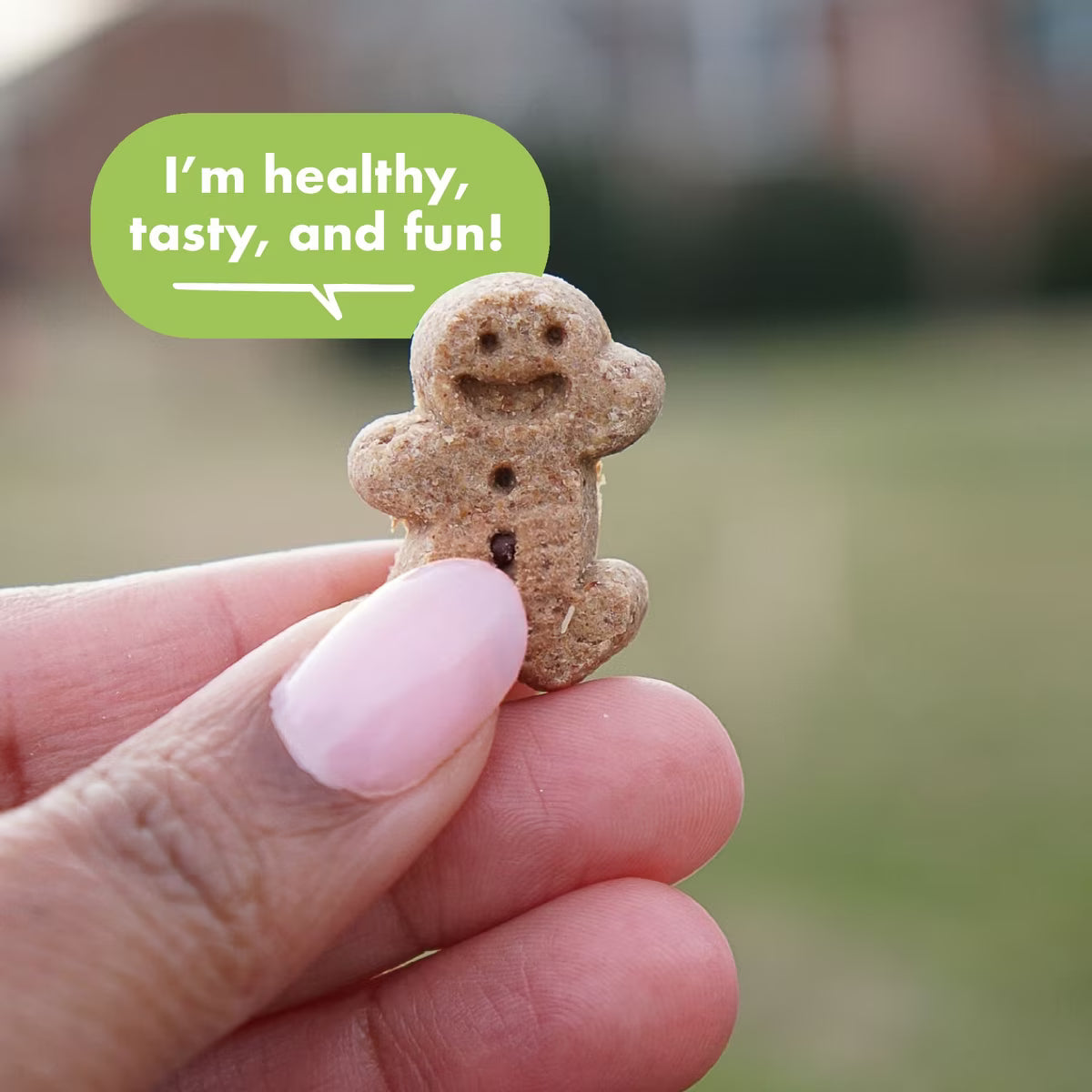 Buddy Biscuits Grain Free Chewy Treats with Roasted Chicken