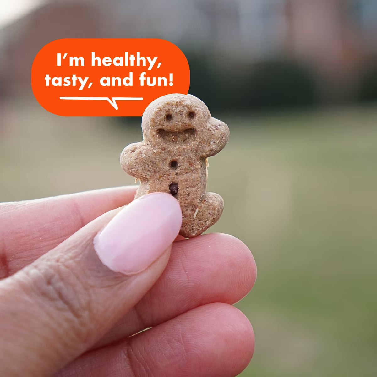 Buddy Biscuits Grain Free Chewy Treats with Peanut Butter