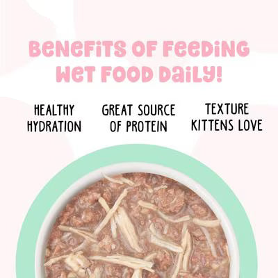 Weruva BFF Chicken Cha Cha Cha