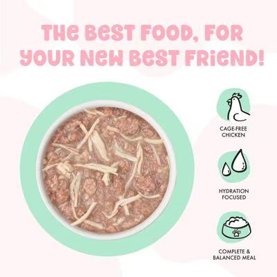 Weruva BFF Chicken Cha Cha Cha