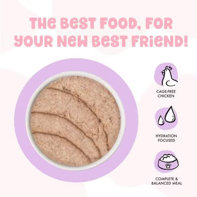 Weruva BFF Chicken Cute To Boot