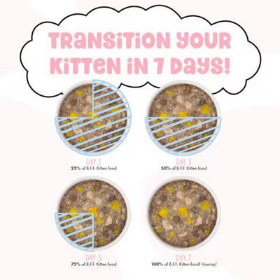 Weruva BFF Chicken & Pumpkin Pawsome Purrs