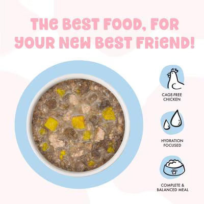 Weruva BFF Chicken & Pumpkin Pawsome Purrs