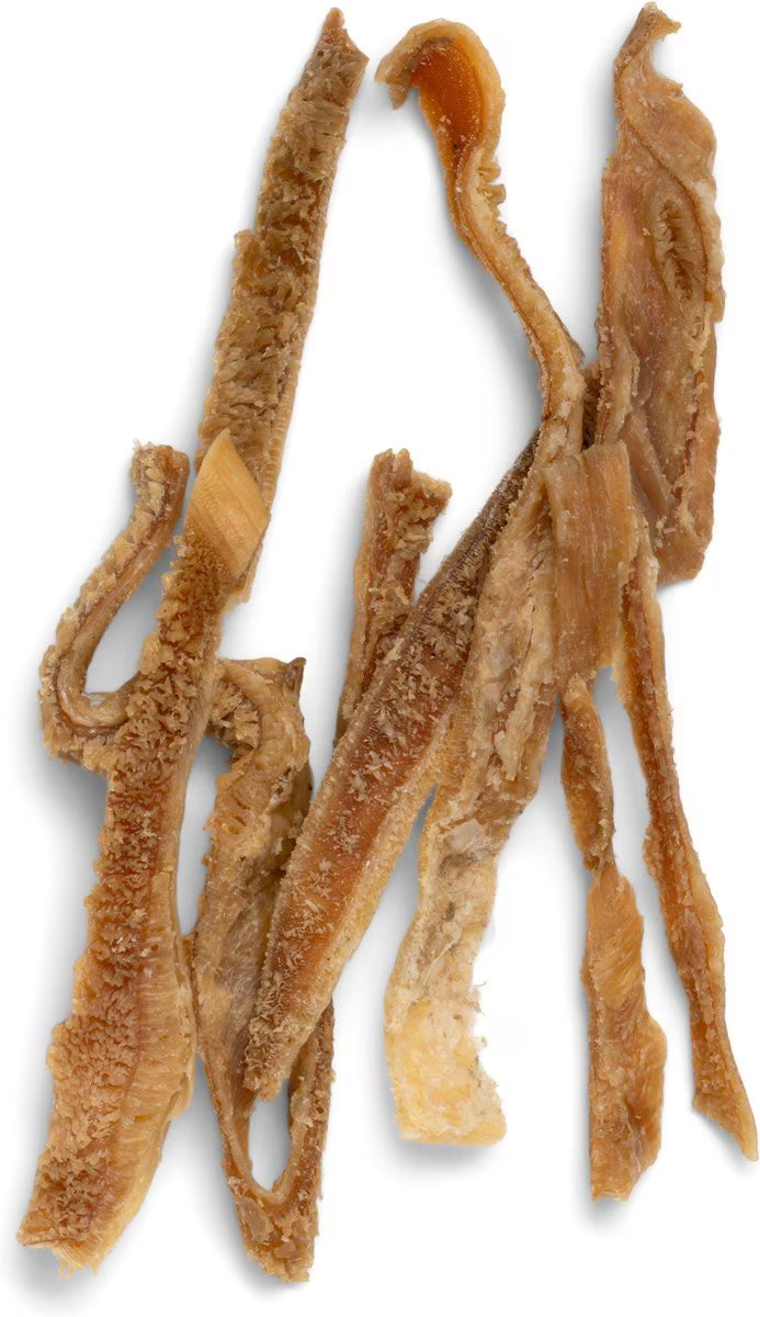 West Paw Bison Tripe Air Dried Dog Treats