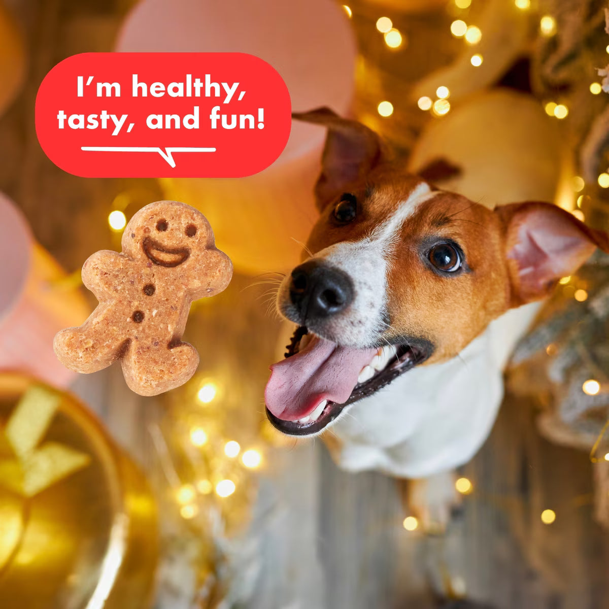 Buddy Biscuits Chewy Treats Gingerbread