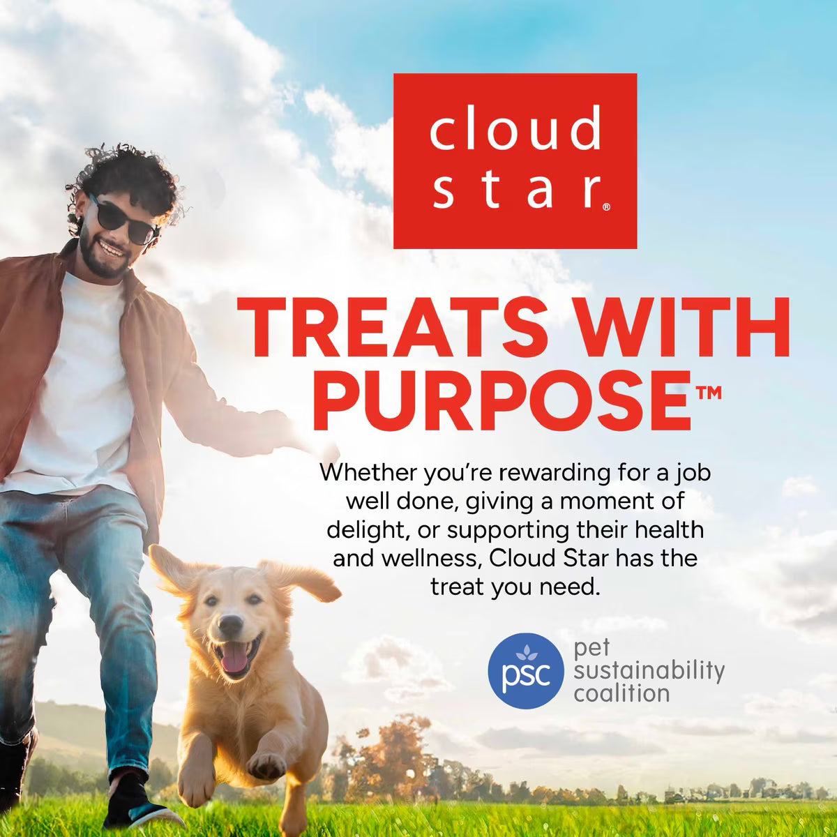 Buddy Biscuits Holiday Gingerbread