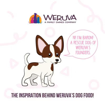 Weruva Meals 'n More Grandma's Chicken Soup Recipe Plus For Dogs