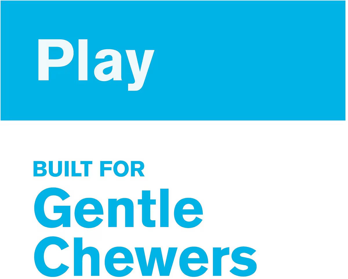 West Paw Bumi Large 9.5 Inch for Dogs