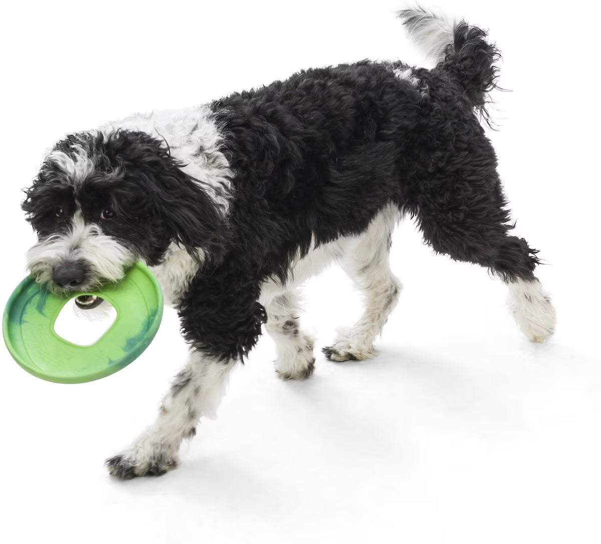 West Paw Sailz Large 8.75 Inch for Dogs