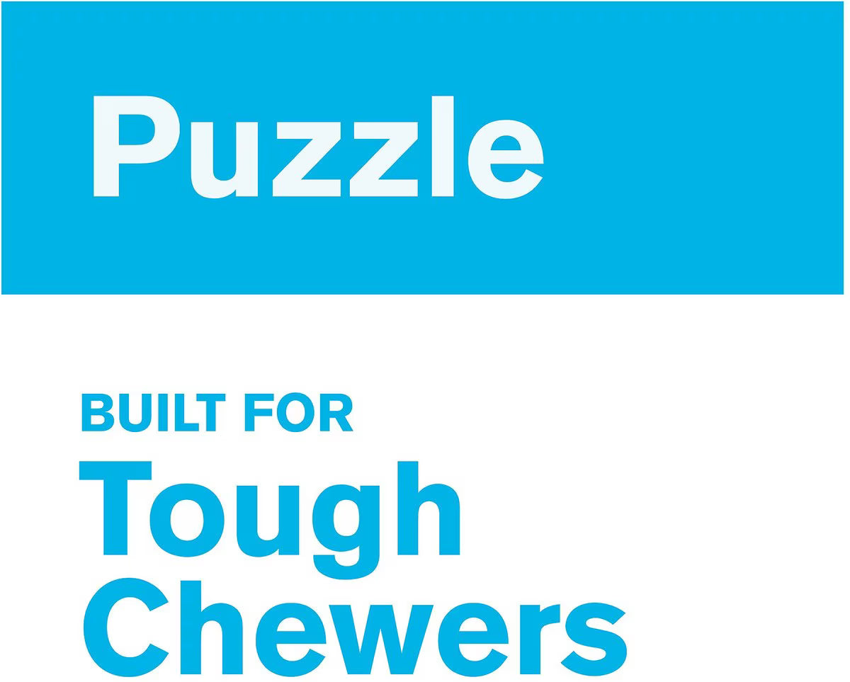 West Paw Qwizl Small 5.5 Inch for Dogs