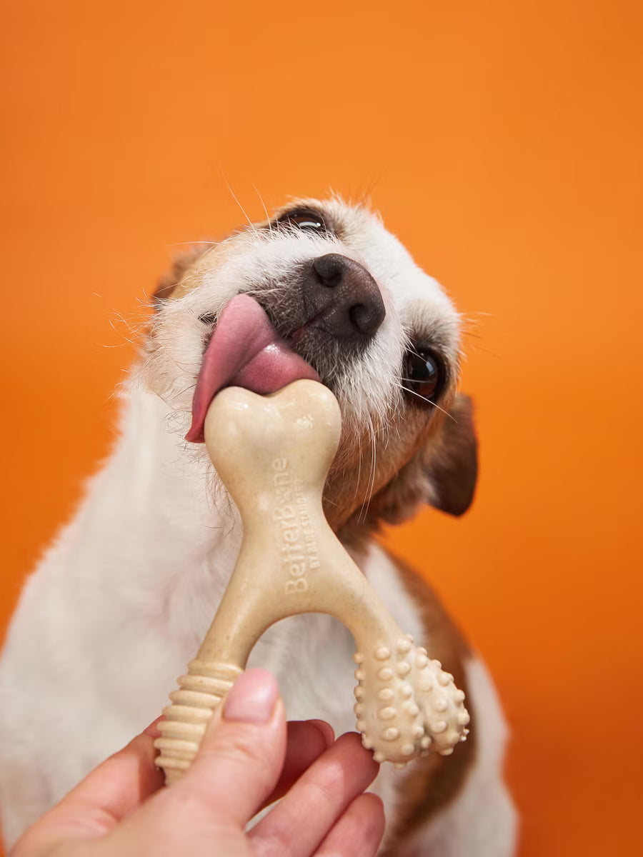 Betterbone Hard Chew