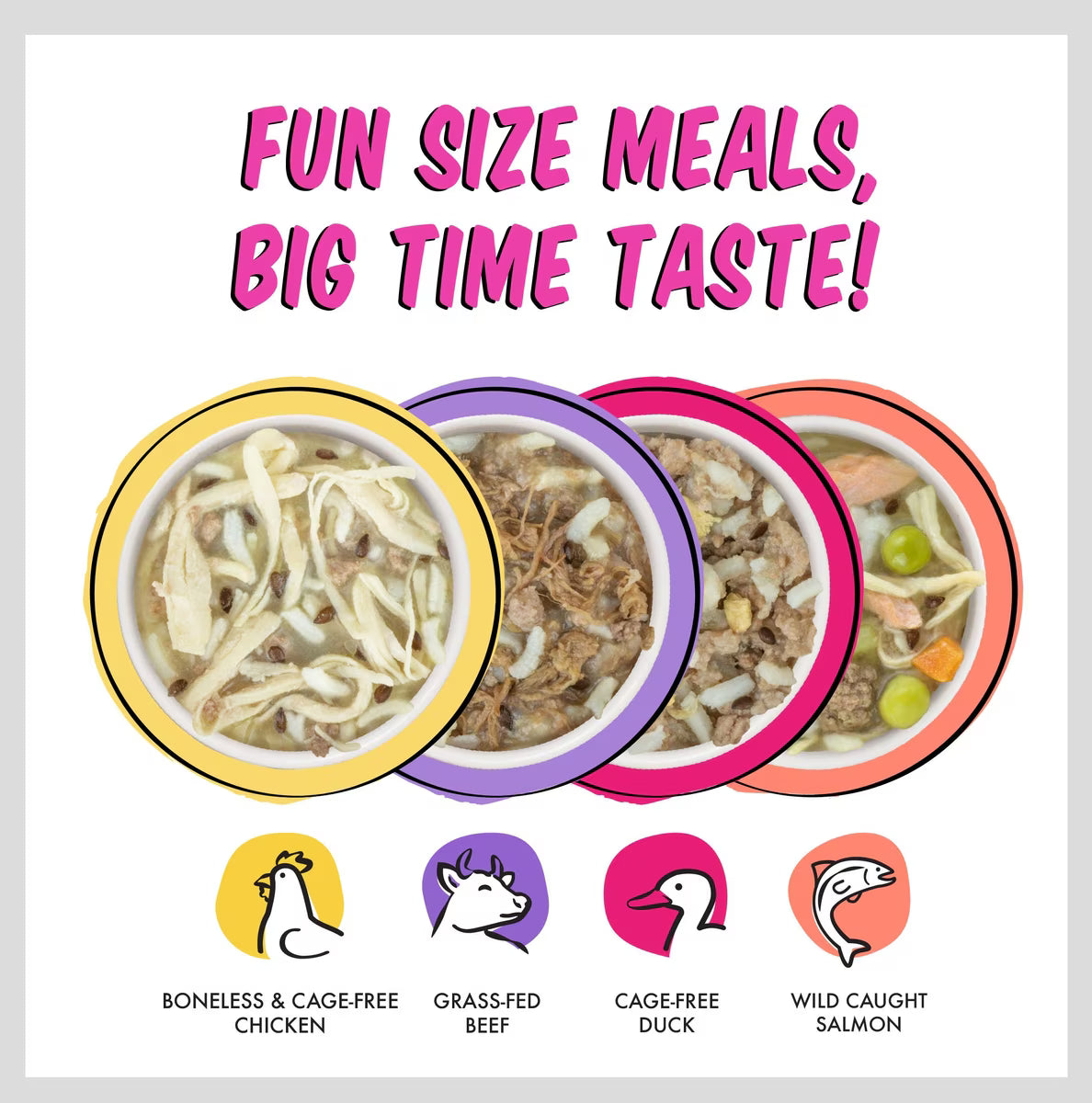 Weruva BFF Fun Size Sampler Variety Pack