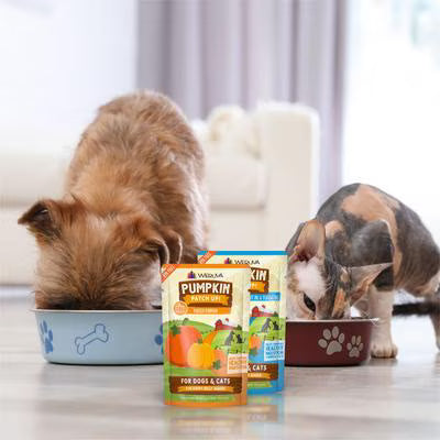 Weruva Pumpkin Patch Up Pumpkin Pumpkin, What's Your Function? Variety Pack For Dogs and Cats