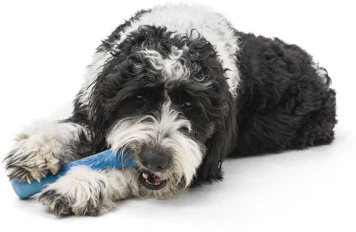 West Paw Drifty Large 8.5 Inch for Dogs