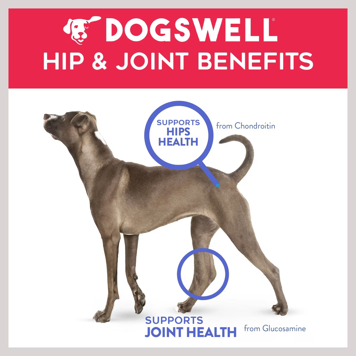 Dogswell Hip & Joint Slices Beef