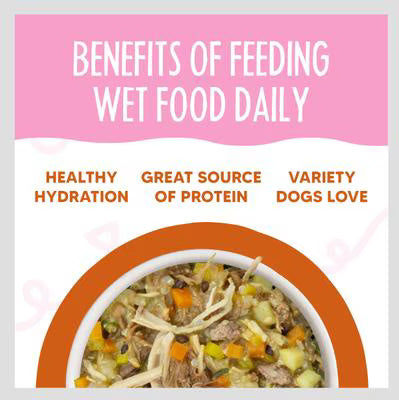 Weruva Meals 'n More Wok The Dog Recipe Plus For Dogs