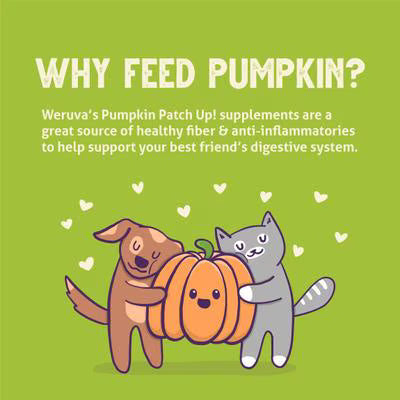 Weruva Pumpkin Patch Up Pumpkin with Coconut Oil & Flaxseeds For Cats and Dogs