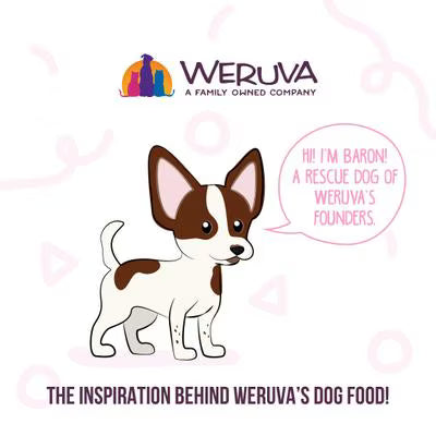 Weruva Meals 'n More Amazon Livin' Recipe Plus For Dogs