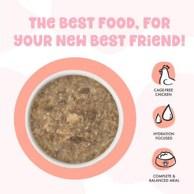 Weruva BFF Chicken & Salmon Cuddle Buds