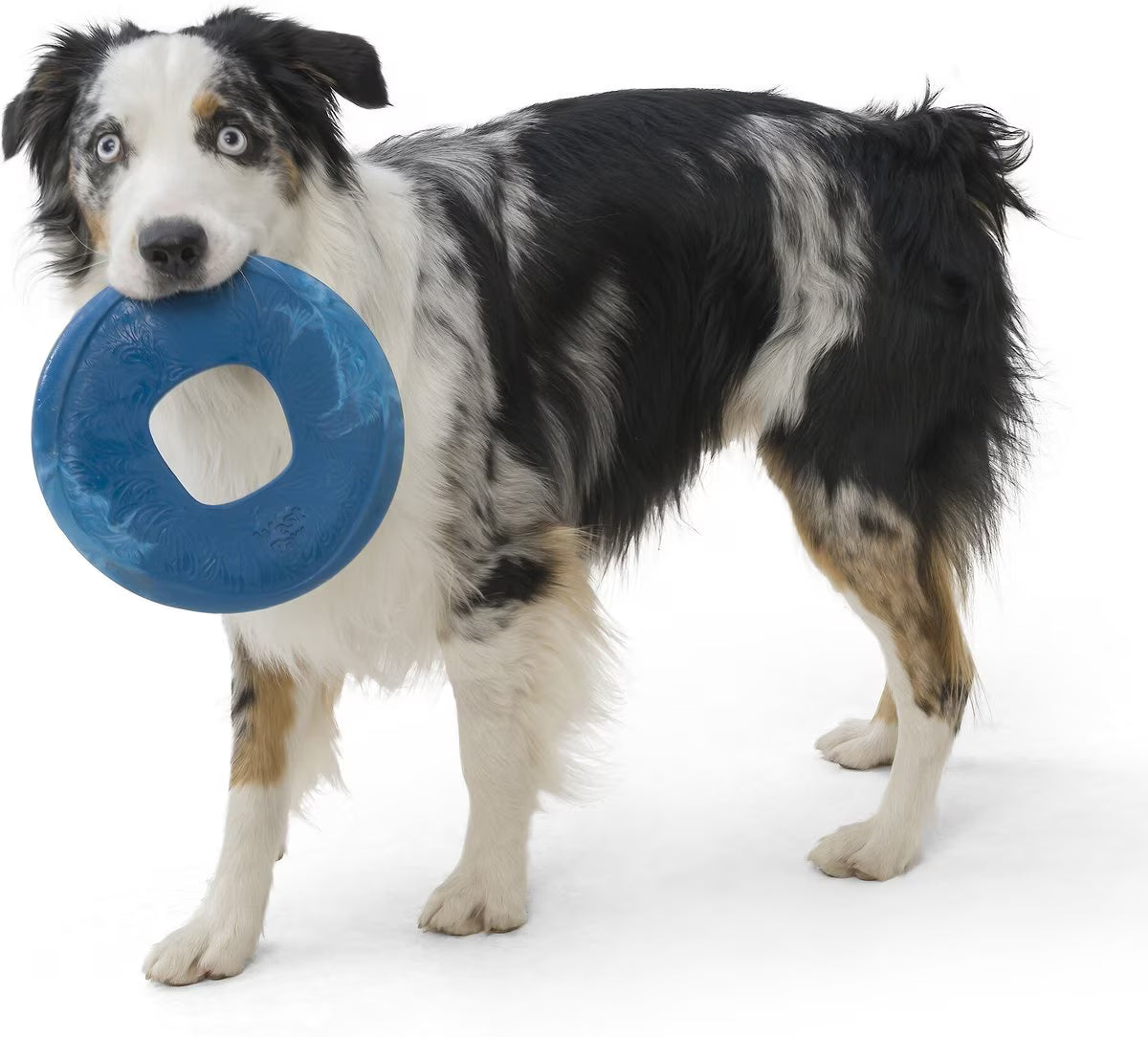 West Paw Sailz Large 8.75 Inch for Dogs