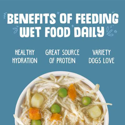 Weruva Grandma's Chicken Soup Dog Cans