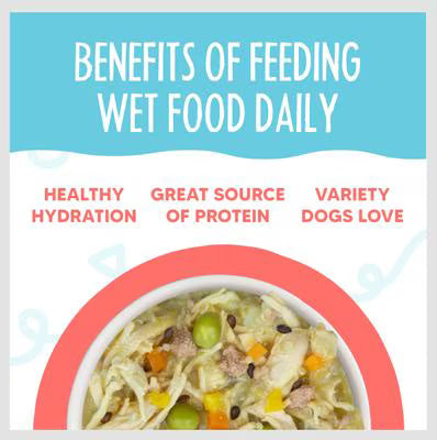 Weruva Meals 'n More Jammin' Salmon Recipe Plus For Dogs