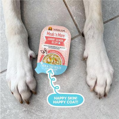 Weruva Meals 'n More Jammin' Salmon Recipe Plus For Dogs