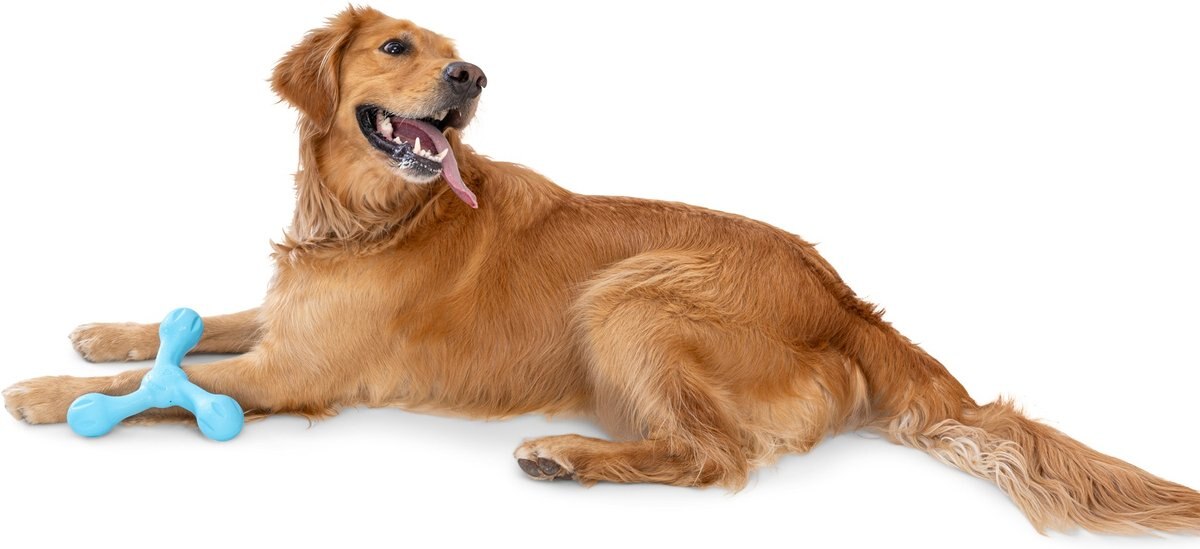 West Paw Skamp Large 8.5 Inch for Dogs