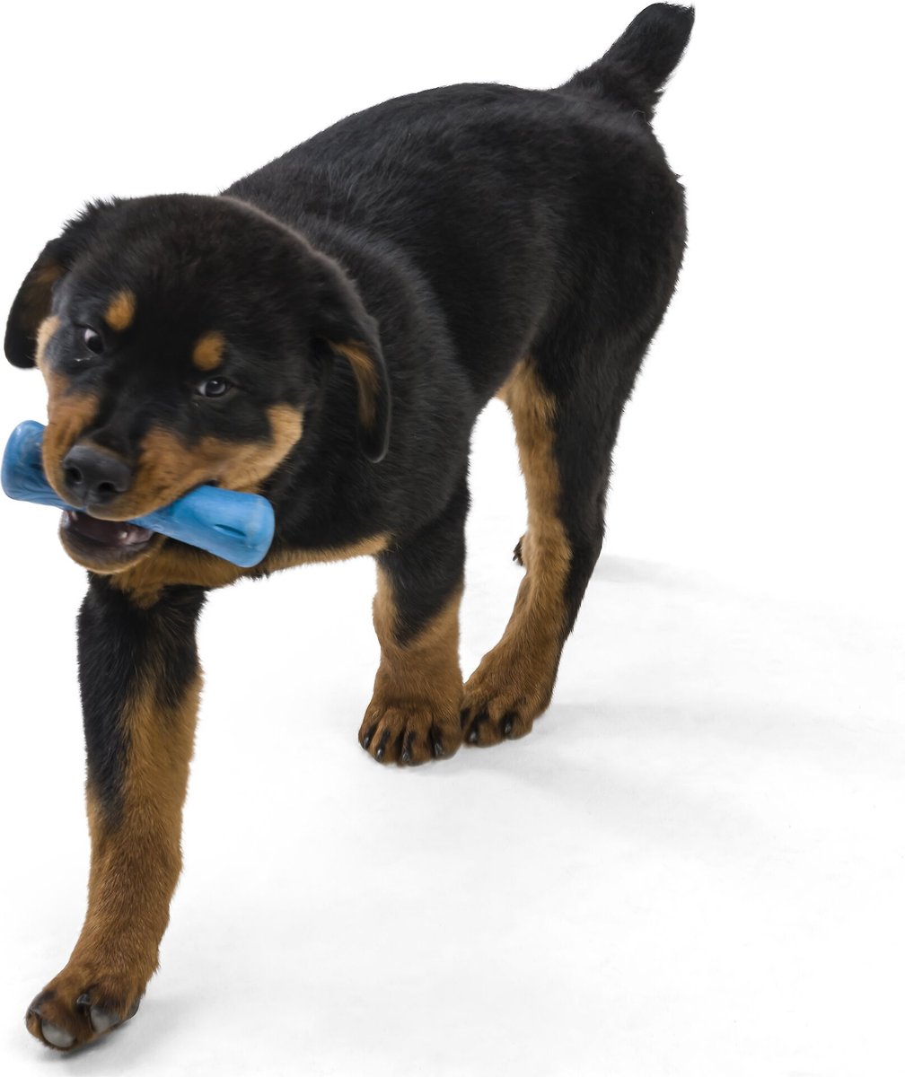 West Paw Drifty Small 5.75 Inch for Dogs