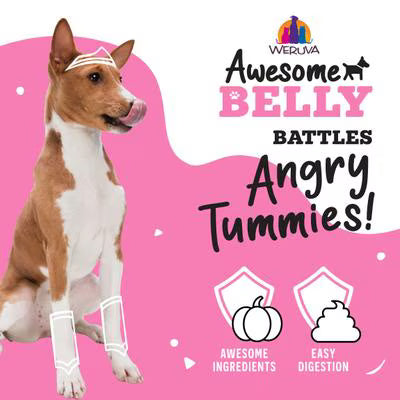 Weruva Awesome Belly Chicken, Rice & Pumpkin w/ Veggies