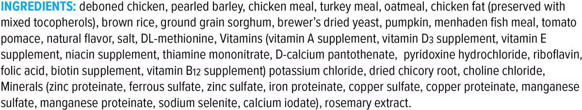 American Natural Premium Legume-Free Chicken with Barley Dry Dog Food