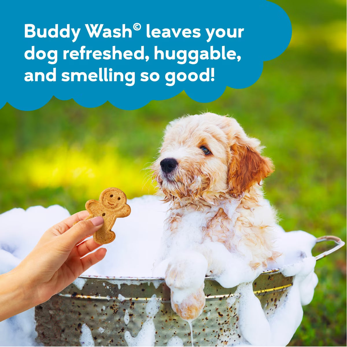 Buddy Wash Rosemary & Mint