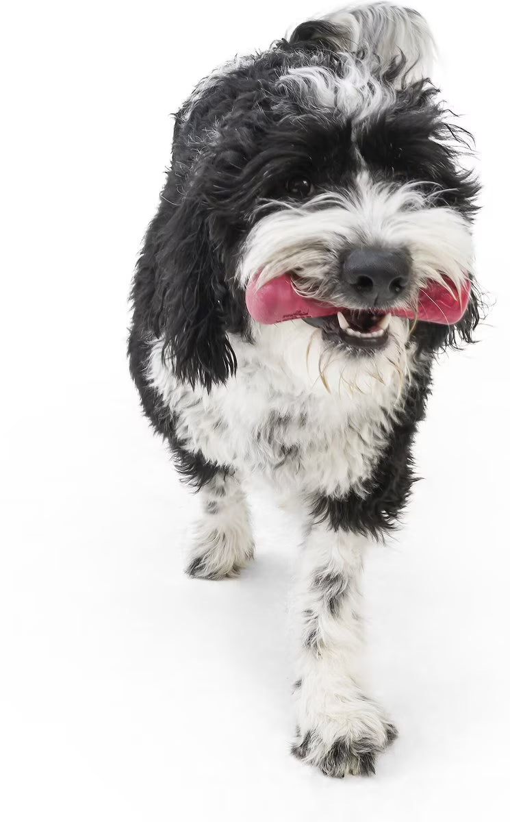 West Paw Drifty Small 5.75 Inch for Dogs